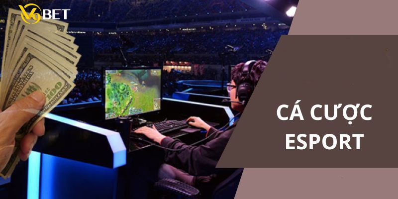 Đánh giá về sảnh game esport của V9BET