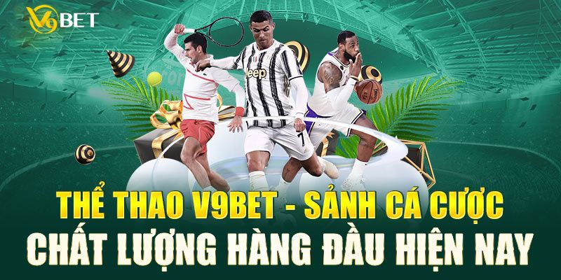 Tìm hiểu về sảnh thể thao V9BET