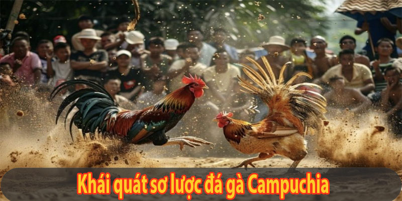 Khái quát sơ lược đá gà Campuchia